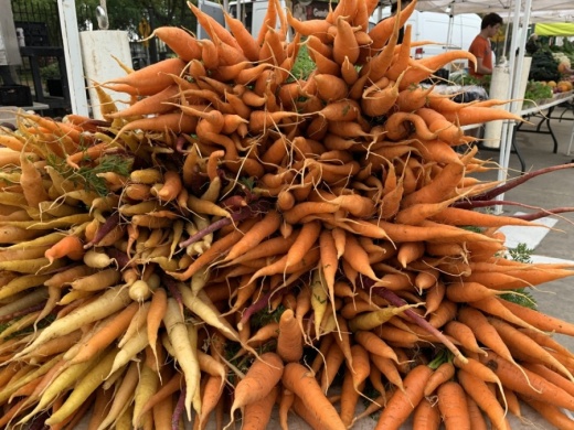carrots at farmers market