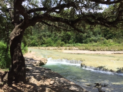 Bull Creek in Northwest Austin