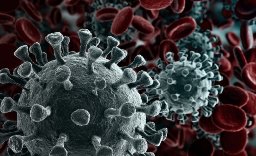 Here are coronavirus updates from Fort Bend County on Aug. 11-13. (Courtesy Adobe Stock)