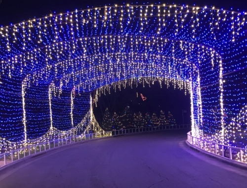 A drive-thru Trail of Lights could serve 1,300 vehicles per night this December. (Nicholas Cicale/Community Impact Newspaper)