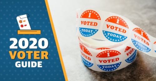 2020 voter guide, i voted sticker