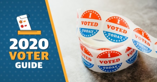 2020 voter guide, i voted sticker