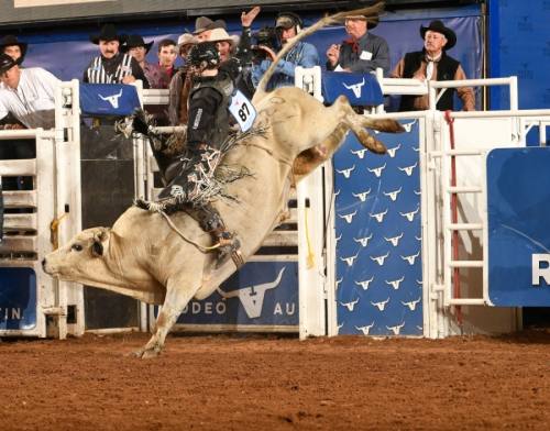 Rodeo Austin and the Round Rock Express will host a bull riding event, Bulls in the Ballpark, at Dell Diamond on Nov. 13-14. (Courtesy Rodeo Austin)