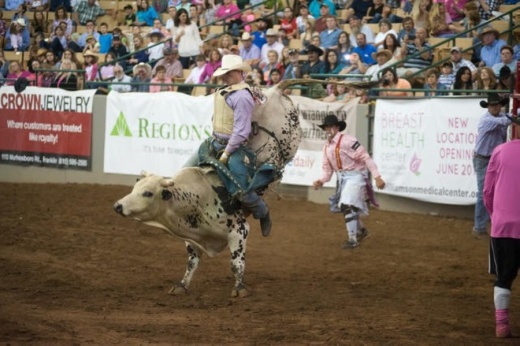 Members of FWSSR executive committee voted Oct. 6 to cancel next year’s show after consulting with infectious disease experts and public health professionals. (Courtesy)