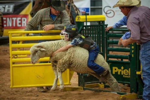 The Dripping Springs Fair and Rodeo will take place Oct. 16-17. (Courtesy Dripping Springs Fair and Rodeo)