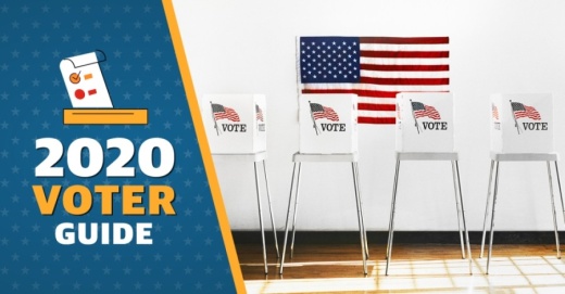 voting booths, 2020 voter guide