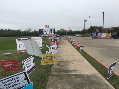 Candidate signs line the sidewalk at Tom Reid Library in Pearland. (Haley Morrison/Community Impact Newspaper)