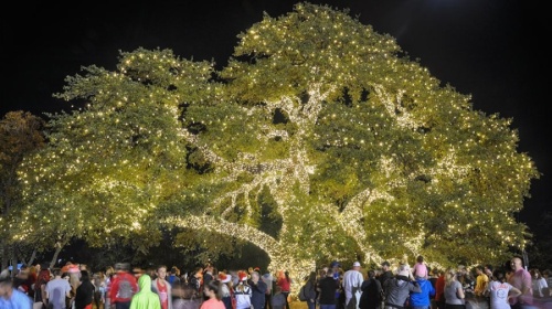 Cedar Park will hold photo opportunities at Heritage Oak Park with the light-lit tree and Santa's sleigh. (Courtesy city of Cedar Park)