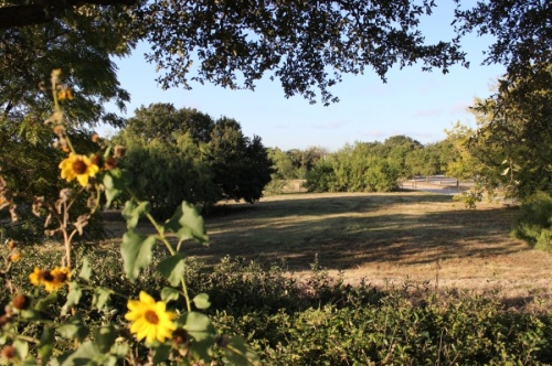 The city of Lewisville is working to acquire this 2-acre piece of land in the Triangle area of town. The city intends to convert the undeveloped land into a public park. (Daniel Houston/Community Impact Newspaper)