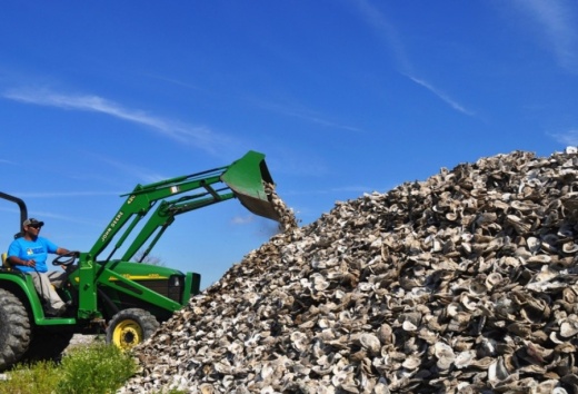 The Galveston Bay Foundation partners with Bay Area restaurants to recycle oyster shells back to Galveston Bay. (Courtesy Galveston Bay Foundation)