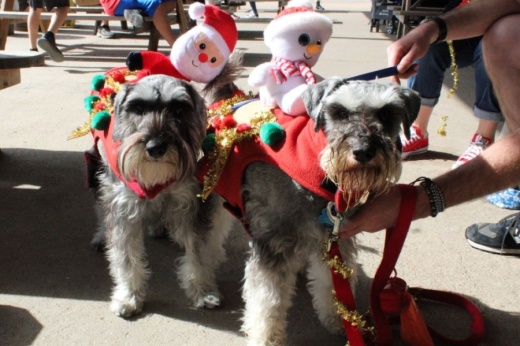 Dec. 13: Ugly sweater ‘pawty’