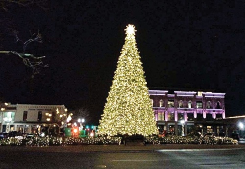 The Franklin Christmas tree will be lit through the month of December. (Lindsay Scott/Community Impact Newspaper)