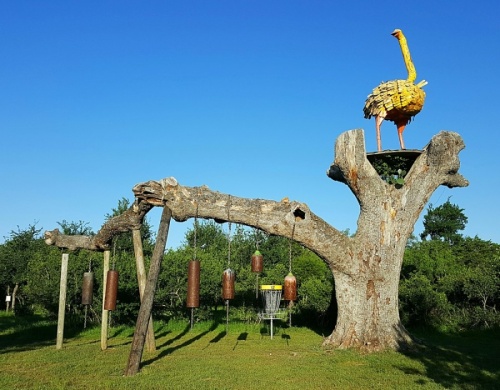 The Flying Armadillo opened in 2015 and is one of three unique minigolf courses in Hays County. (Courtesy Michael Lambert)