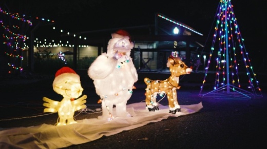 The event will feature decorations, holiday lights, a Christmas tree viewing, singing carolers and goody bags for attendees. (Courtesy Pflugerville Parks and Recreation)