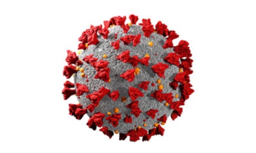 An additional 294 confirmed cases of the novel coronavirus were reported in Williamson County on Dec. 8. (Courtesy Adobe Stock)