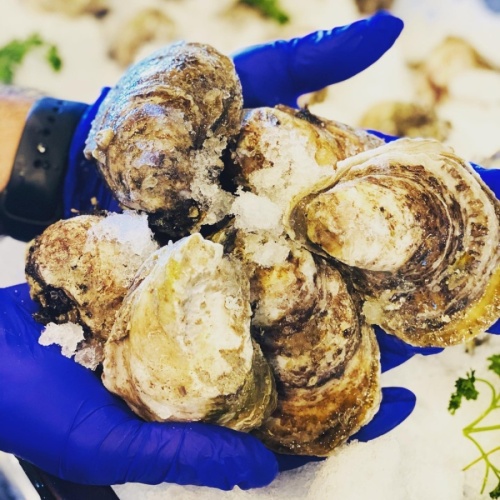 Gulf oysters are among the many seafood items on the menu. (Courtesy Anaya's Seafood Scratch Kitchen)