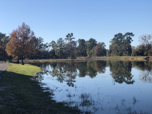 The D. Bradley McWilliams YMCA at Cypress Creek donated its pond and surrounding trails to Harris County Precinct 4 in 2019. (Andy Li/Community Impact Newspaper)