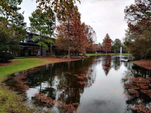 Voting will take place at The Woodlands Township's Town Hall on Technology Forest Boulevard. (Ben Thompson/Community Impact Newspaper)