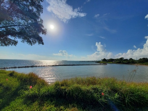 Since its establishment in 1987, Galveston Bay Foundation has conserved more than 8,000 acres of coastal habitat through property acquisitions and conservation easements. (Courtesy Galveston Bay Foundation)