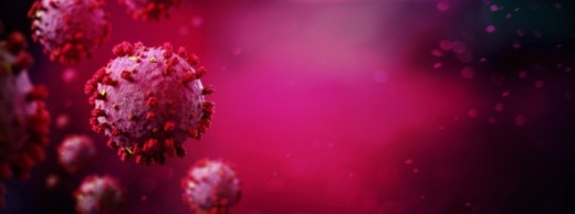 During his Jan. 19 update, Urbanovsky said he planned to update county officials on Buda’s situation Jan. 20. (Courtesy Adobe Stock)