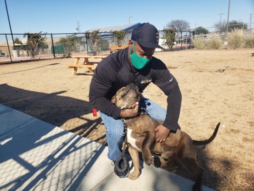 Jail to Jobs supervisor Sean Oliver also participates by training Buster. (Ali Linan/Community Impact Newspaper)