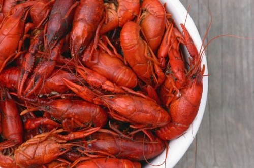 Crawfish Bistro is slated to open in Missouri City in mid-February. (Courtesy Terry Poche/Adobe Stock)
