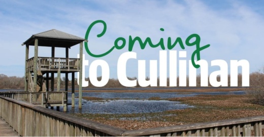 Phase 2 improvements at Cullinan Park, which are predicted to take until the end of the year to complete, include the additions of multiple trails, the extension of the park's entry road and additional parking. (Claire Shoop/Community Impact Newspaper)