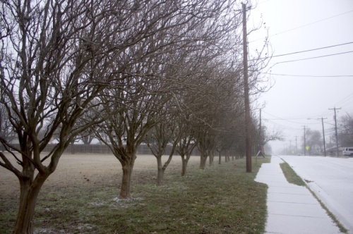 Snow fell in Austin Feb. 14 as temperatures dropped to lows unseen since 1989. (Jack Flagler/Community Impact Newspaper) 