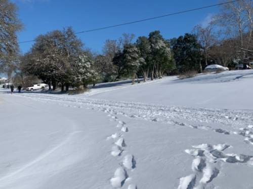 Ambulance responses may take longer due to road conditions in Buda, and residents are advised to stay home. (Heather Demere/Community Impact Newspaper)