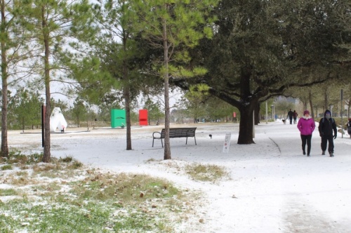 Buffalo Bayou park coated in snow and ice