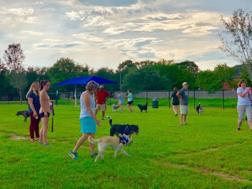 Friendswood Dog Park (Courtesy GS&F Advertising)