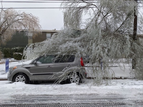 A tree with fallen branches has fallen on a car in North Austin in the midst of Winter Storm Uri.