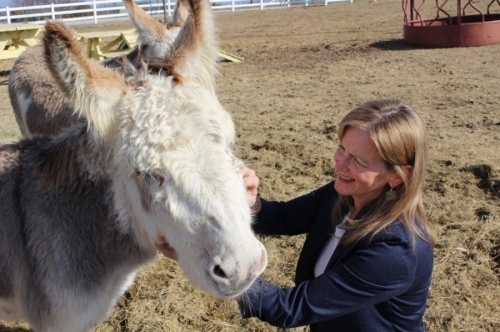 


FarmHouse Fresh owner Shannon McLinden runs an animal rescue operation at the ranch. Among the ranch animals is her mischievous donkey, Arlo. (Francesca D’Annunzio/Community Impact Newspaper)