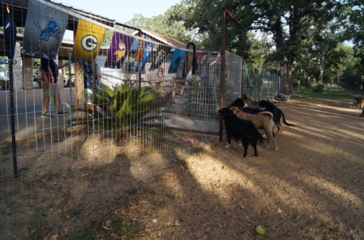 A proposed commercial development in Lewisville's Northern Gateway would have a dog park component under the latest approved plans, similar to this Dog House Drinkery and Dog Park concept in Leander. (Community Impact Newspaper file photo)