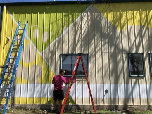 Jason Tetlak was chosen by the Georgetown Animal Shelter and Georgetown Arts and Culture Board to design and paint the new Georgetown Animal Shelter mural. (Fernanda Figueroa/Community Impact Newspaper)