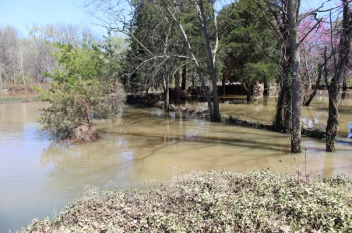 Williamson County saw several inches of rain March 27-28. (Wendy Sturges/Community Impact Newspaper)
