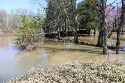 Williamson County saw several inches of rain March 27-28. (Wendy Sturges/Community Impact Newspaper)