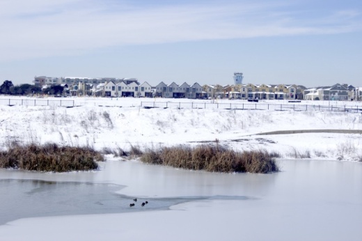 Snow and ice cover the pond on the southeastern side of the Mueller development in East Austin in February. (Jack Flagler/Community Impact Newspaper)