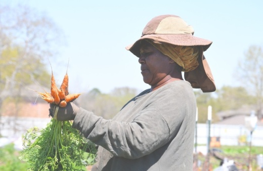 Plant It Forward’s urban farms offer jobs, training and housing to refugees. (Hunter Marrow/Community Impact Newspaper)