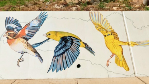 Artists with Ink Dwell Studio created the mural, which depicts birds that migrate seasonally to the Houston area. (Courtesy Anthony Rathbun/Houston Parks Board)