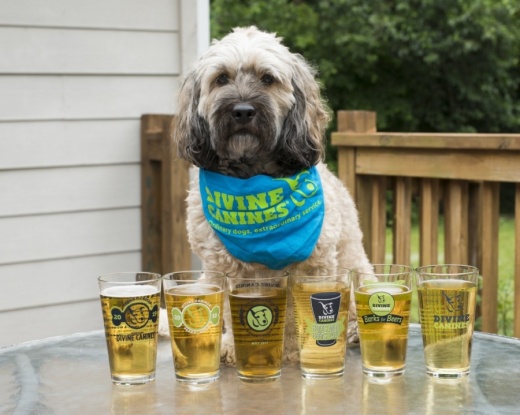 The Barks for Beers fundraiser will return to Central Texas in May. (Courtesy Divine Canines)