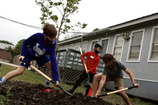 Students helped to plant one of three Mexican sycamore trees that were donated to the school. (Lauren Canterberry/Community Impact Newspaper)