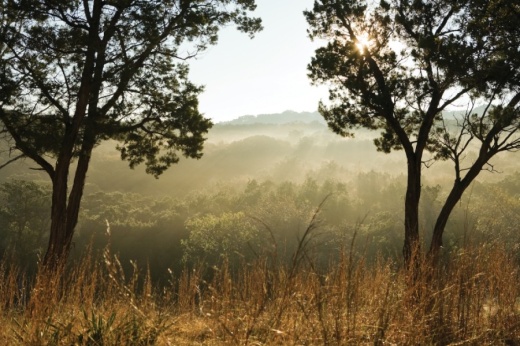 The Holden Hills community will be located along the Barton Creek Greenbelt in Southwest Austin. (Courtesy Status Properties)