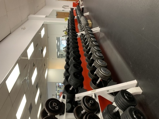 Georgetown Fitness provides a training environment to help improve health, strength and physique. (Courtesy Georgetown Fitness)