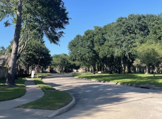 Protest activity has been on an upward trend for at least the past decade with the number of accounts under appeal increasing almost 30%. (Laura Aebi/Community Impact Newspaper)