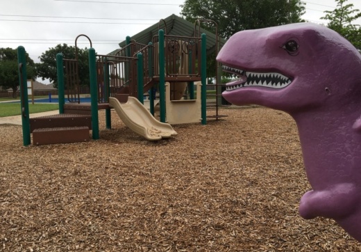 playground slide and dinosaur rocker