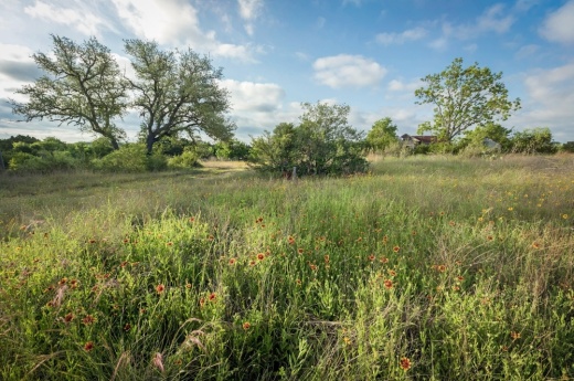 The Barton Creek Habitat Preserve encompasses more than 4,000 acres in western Austin. (Courtesy Pierce Ingram for The Nature Conservancy)