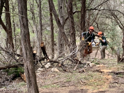 Work crews from the the Texas Conservation Corps remove fallen and dead tree debris from Hamilton Greenbelt. The team is under the direction of Lake Travis Fire and Rescue and the City of Lakeway. (Greg Perliski/Community Impact Newspaper)
