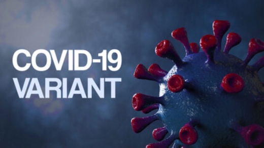 The variant of COVID-19 was identified in three test samples tied to a church camp’s outbreak. (Courtesy Adobe Stock)