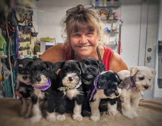 Courtesy Mel's Pet Parlour